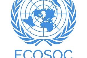 ecosoc logo